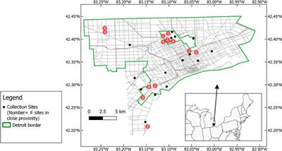 Investigation of pollutant metals in road dust in a post-industrial city: Case study from Detroit, Michigan